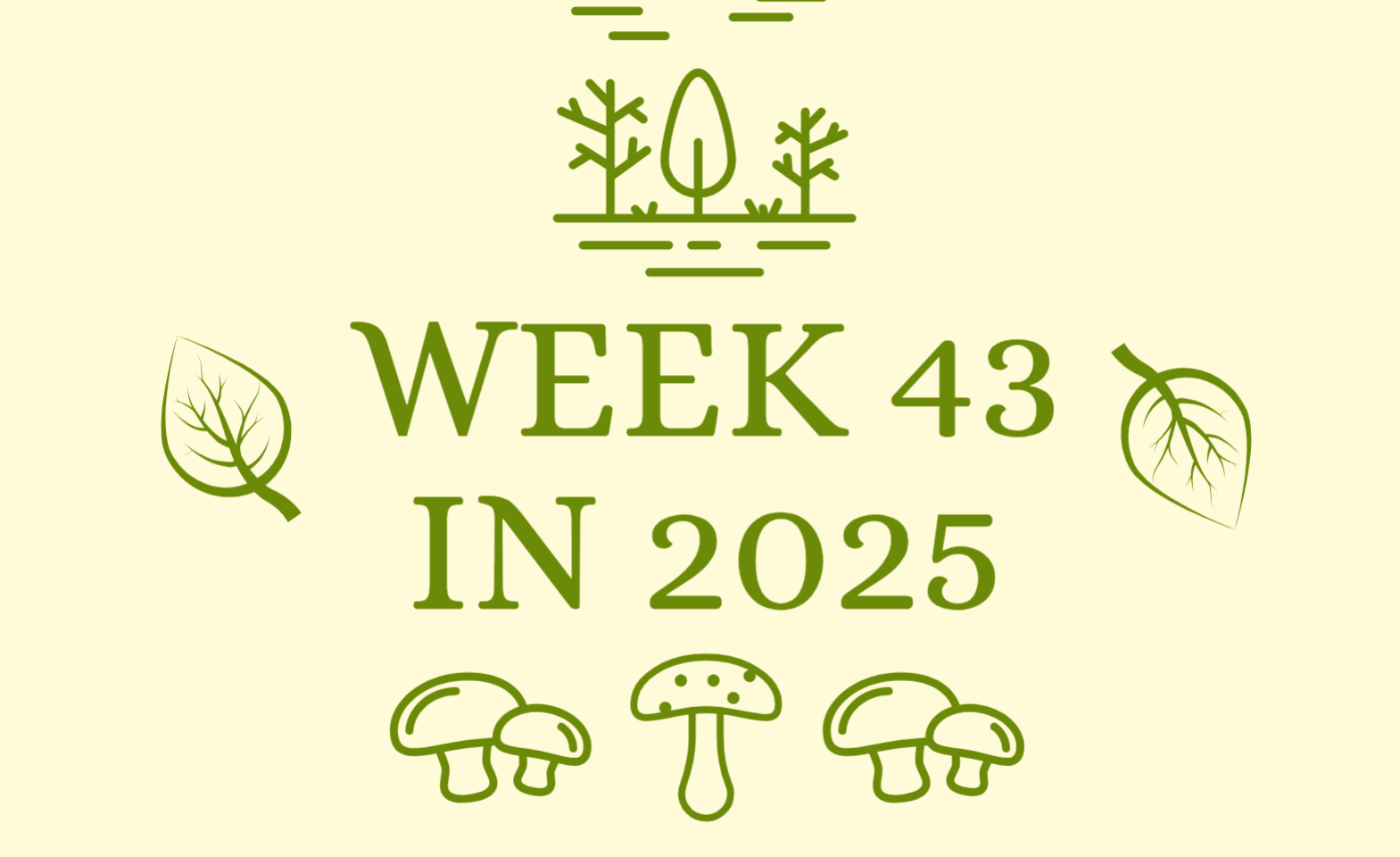 Swedish news, week 43 in 2025